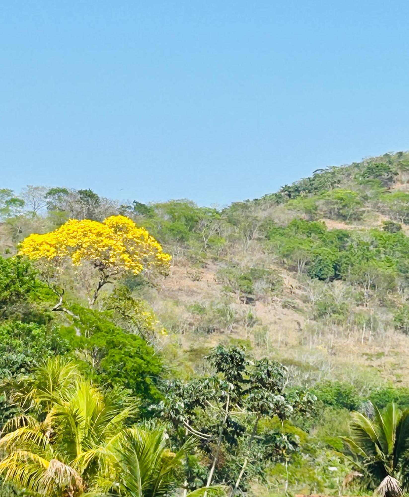 Pousada Casa Do Jova Em Raposo Rj Екстер'єр фото